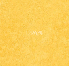Линолеум Forbo Marmoleum Marbled Fresco 3251-325135 lemon zest фото 1 | FLOORDEALER